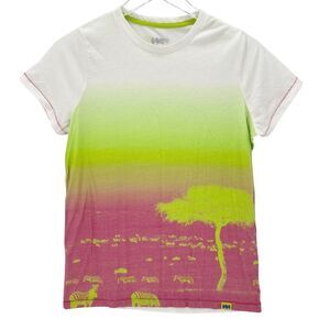 Janji White, Pink, and Green Ombre Zebra Graphic Short Sleeve Tee